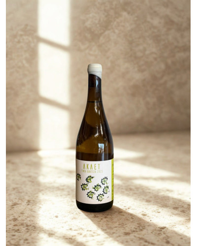 Akaet Finca Guatisea 2023 — Volcanic White Wine from Lanzarote
