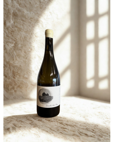 Cercado del Pino 2022 | Tierra Fundida | Canary Islands White Wine