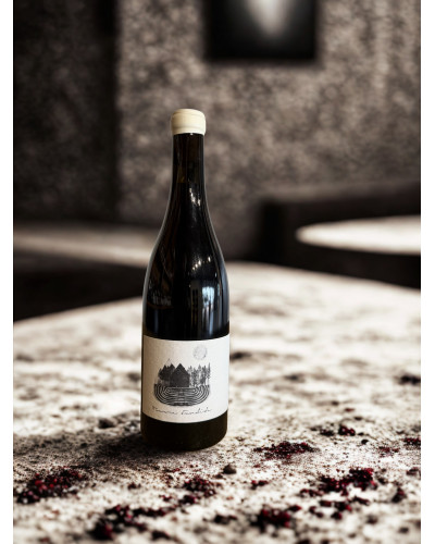 VINO TIERRA FUNDIDA TINTO