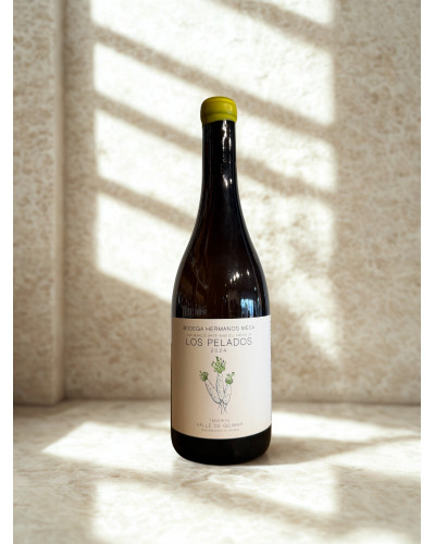 Los Pelados 2024 | Hermanos Mesa | White Wine from Tenerife